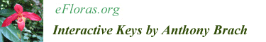 Link to Interactive Keys by Anthony Brach home