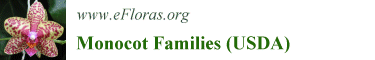 Link to Monocot Families (USDA) home