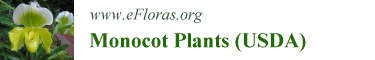 Link to Monocot Plants (USDA) home