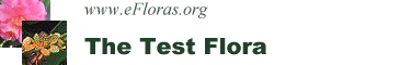 Link to Test Flora home
